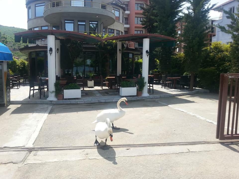 Hotel Saint Marena Pogradec Exterior foto